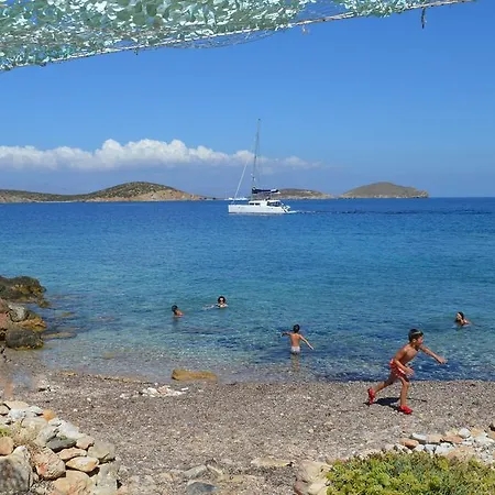 Faros